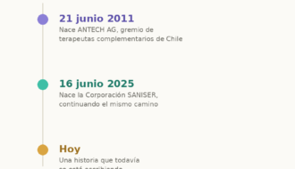 linea tiempo historia saniser v2 (1)